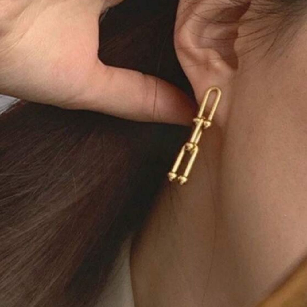 Chain Drop Earrings #2041